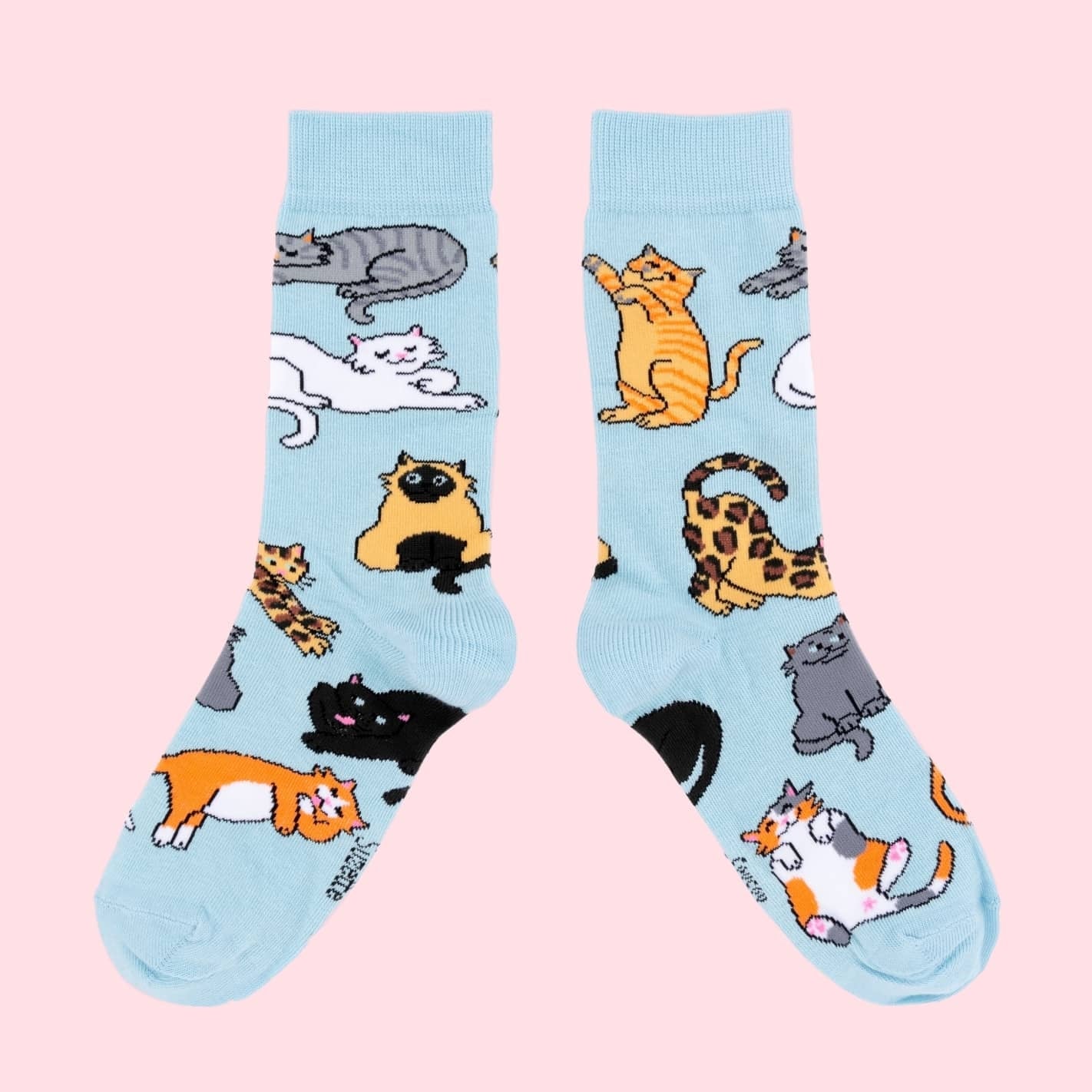 Chaussettes Miaou