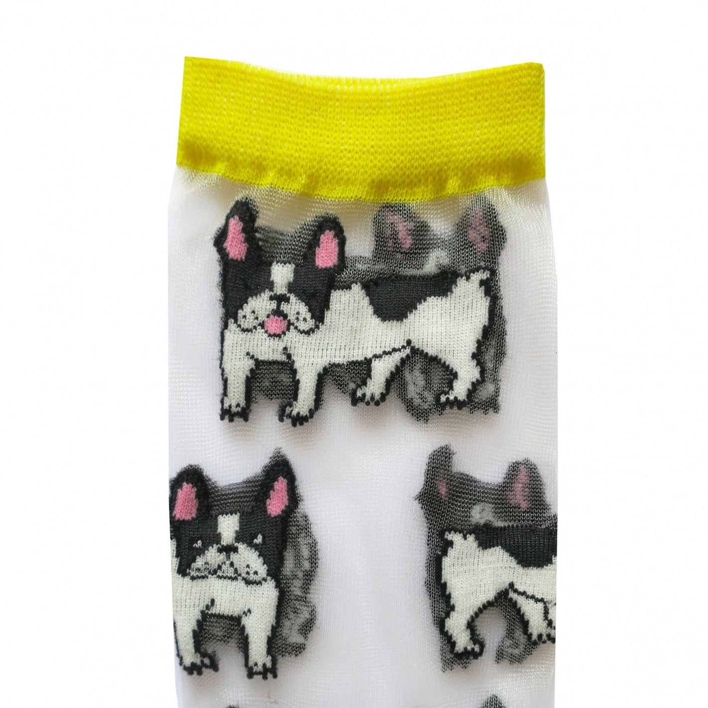 Chaussettes transparentes Bouledogue