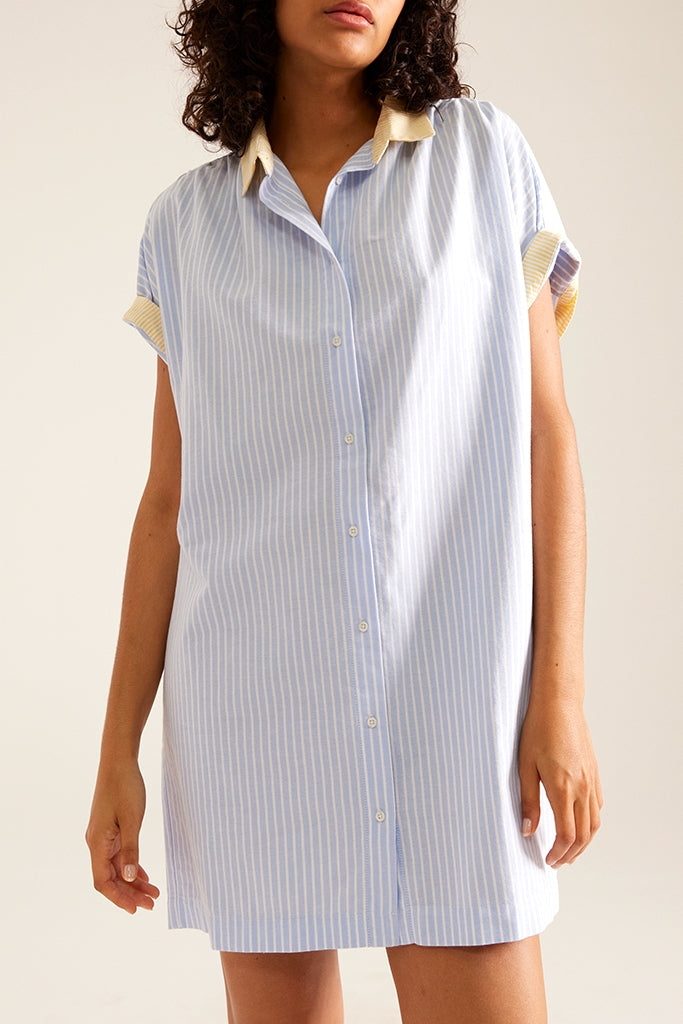 Robe Otis