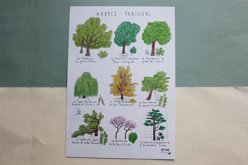 Affiche A5 Arbres Parisiens