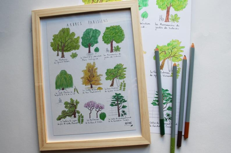 Affiche A5 Arbres Parisiens
