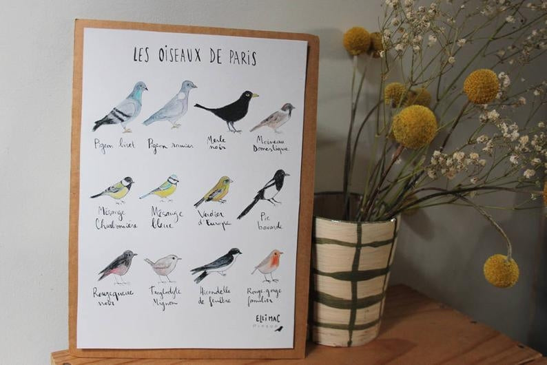 Affiche A5 Oiseaux de Paris