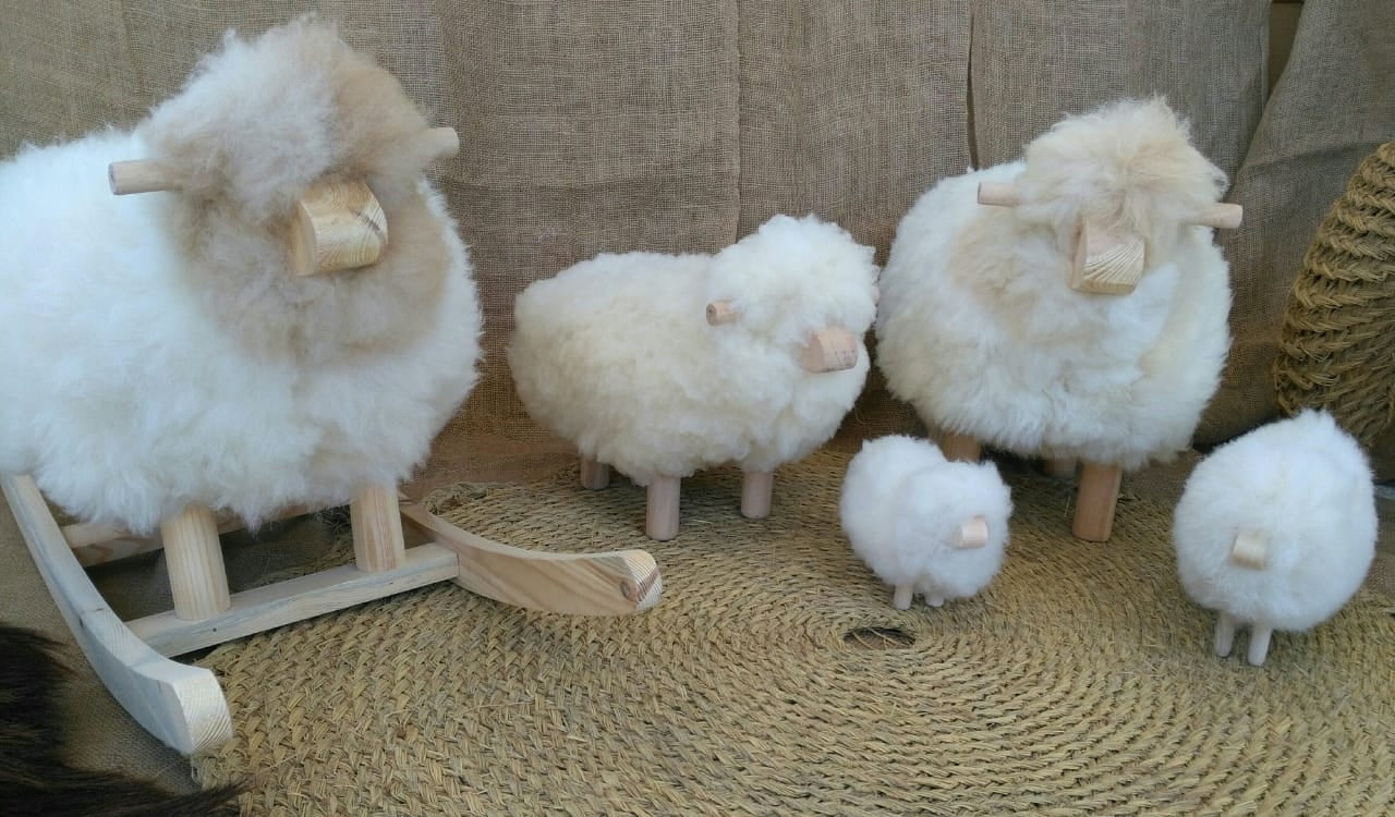 Moyen mouton Copain