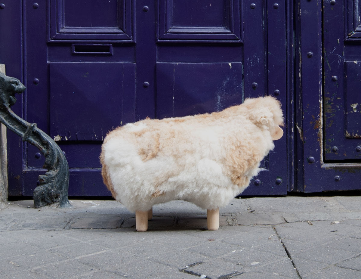 Grand mouton Copain
