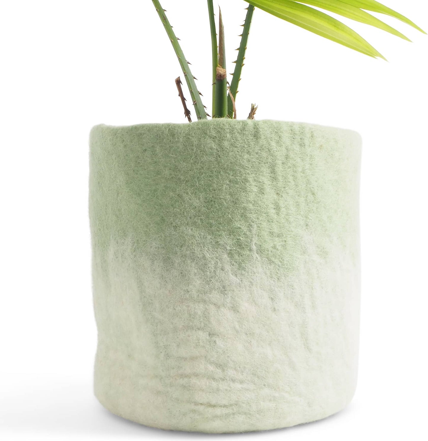 Cache pot L en laine bouillie