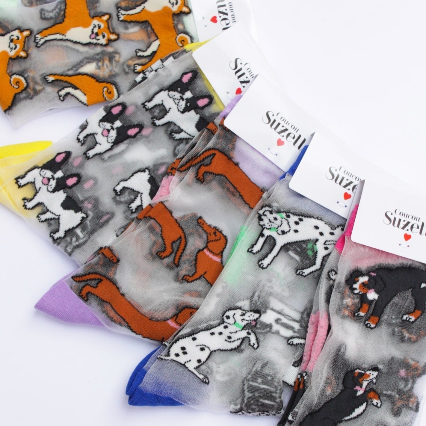 Chaussettes transparentes Bouledogue