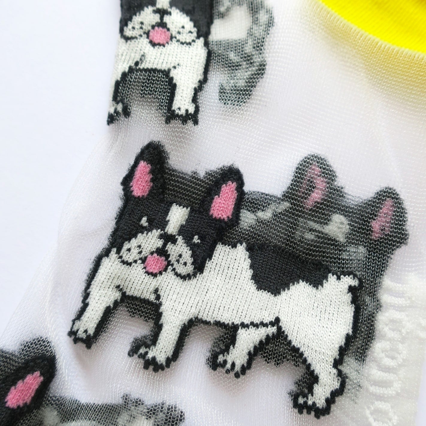 Chaussettes transparentes Bouledogue