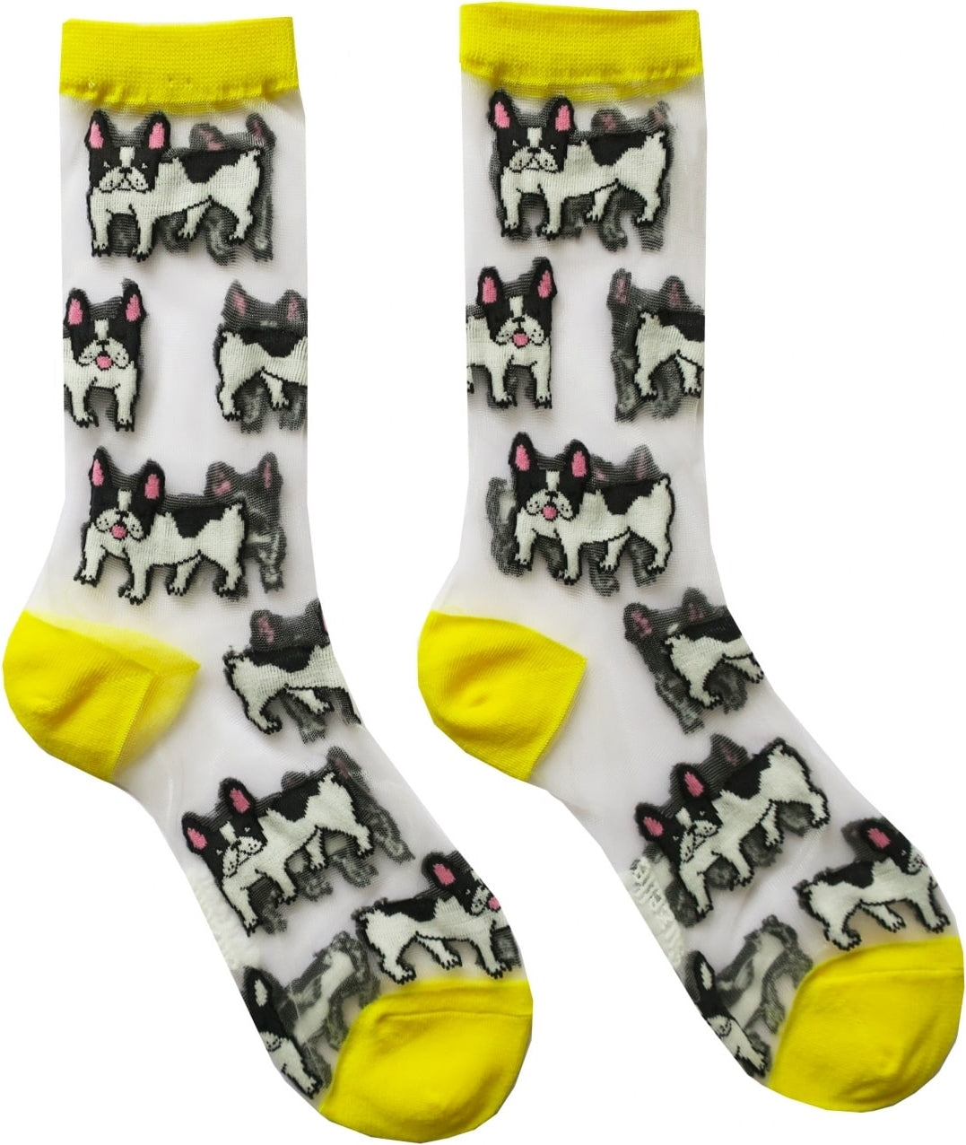 Chaussettes transparentes Bouledogue