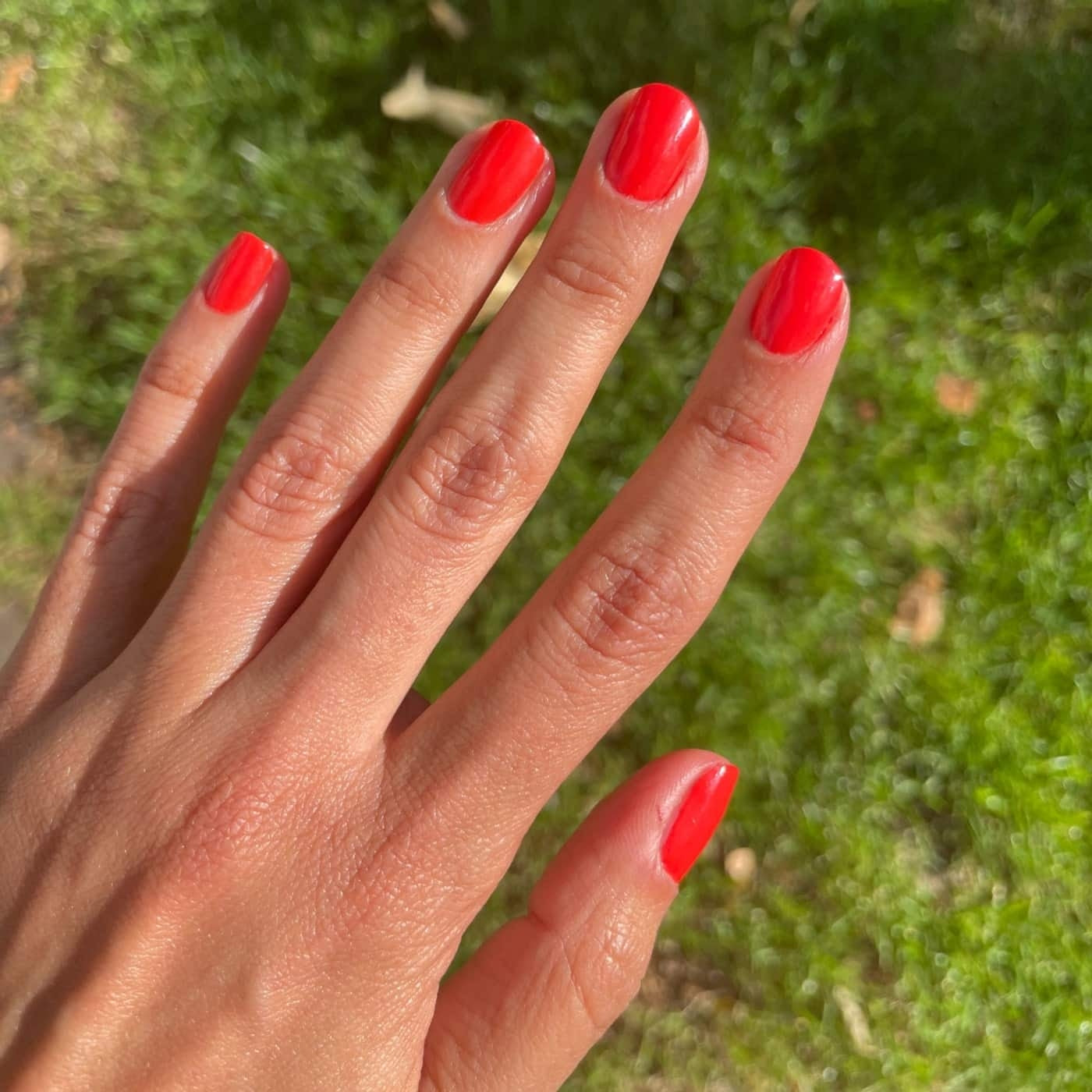 Vernis à ongles biosourcé (au choix)