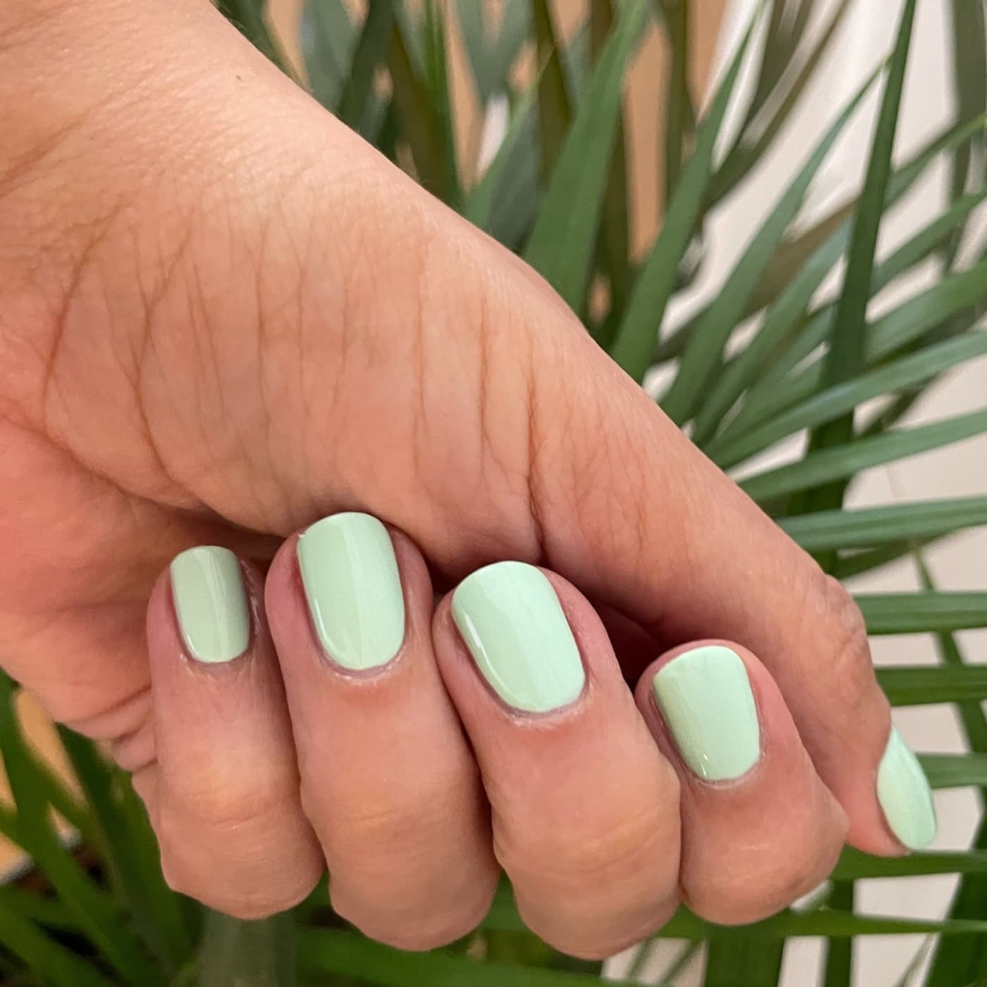 Vernis à ongles biosourcé (au choix)
