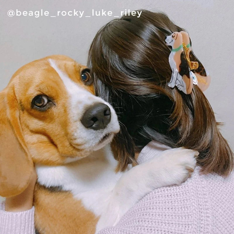 Pince à cheveux Chien Beagle