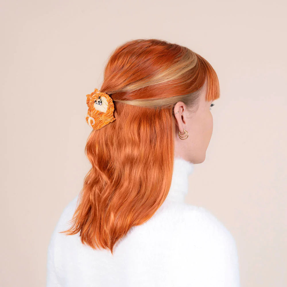 Pince à cheveux spitz