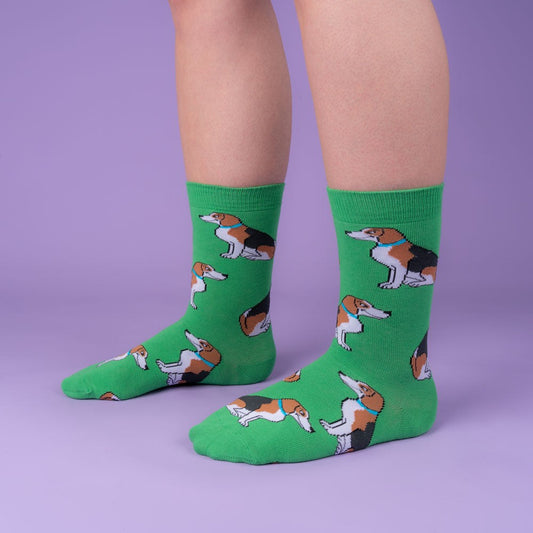 Chaussettes Beagle Coucou Suzette porté