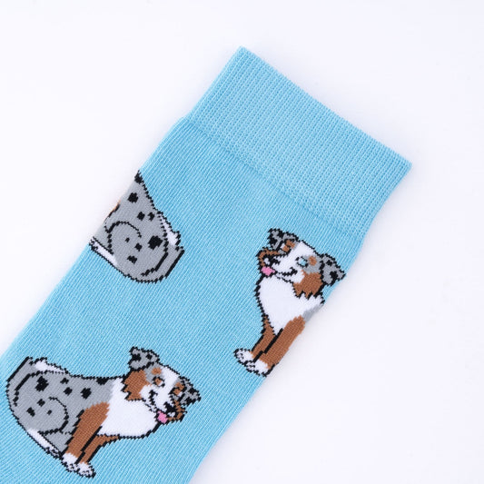 Chaussettes Berger Australien Coucou Suzette porté