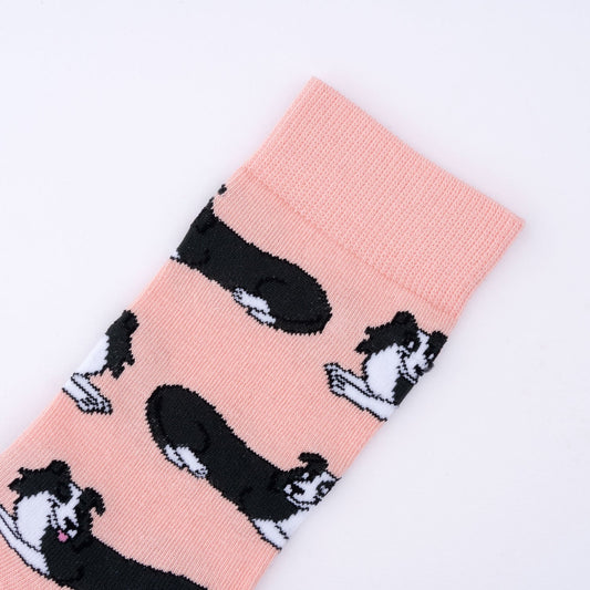 Chaussettes Border Collie Coucou Suzette porté