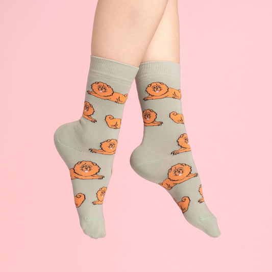 Chaussettes Chow chow Coucou Suzette porté
