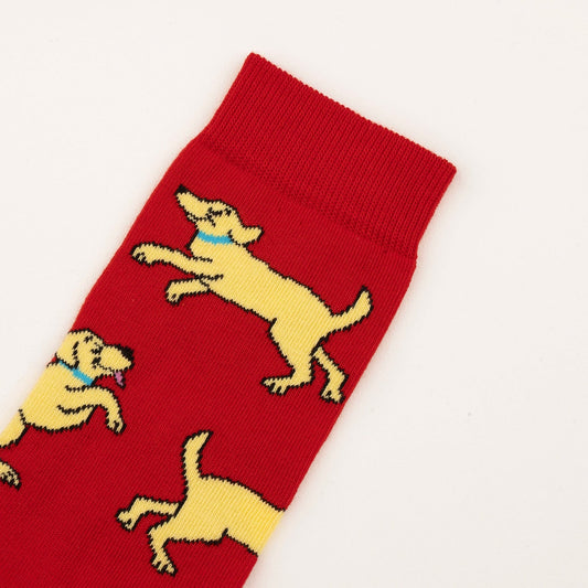 Chaussettes Golden Retriever Coucou Suzette porté