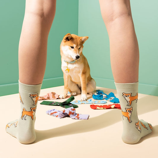 Chaussettes Shiba Coucou Suzette vue 2