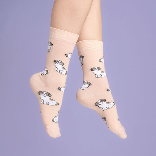 Chaussettes Shih tzu Coucou Suzette porté