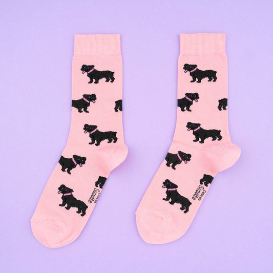 Chaussettes Staffie Coucou Suzette porté