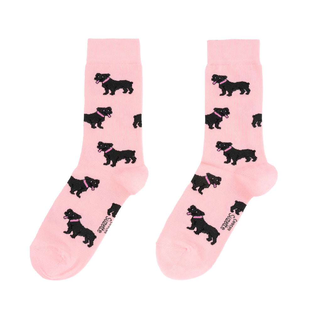 Chaussettes Staffie Coucou Suzette vue 7