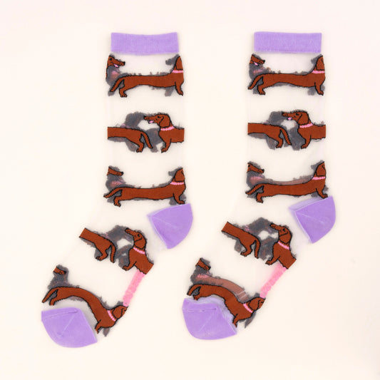 Chaussettes transparentes Teckel Coucou Suzette vue 2