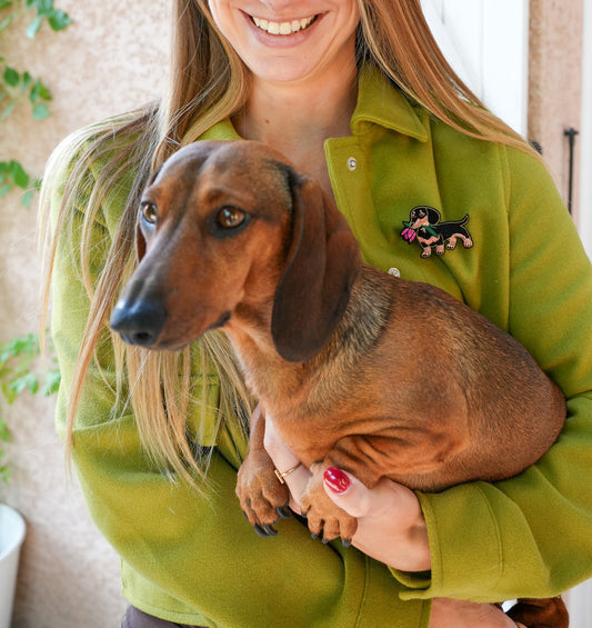 Broche Teckel Malicieuse portée sur veste - bijou fantaisie chien