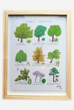 Affiche A5 Arbres Parisiens