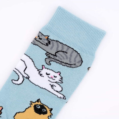 Chaussettes Miaou – Coucou Suzette – vue complémentaire 2