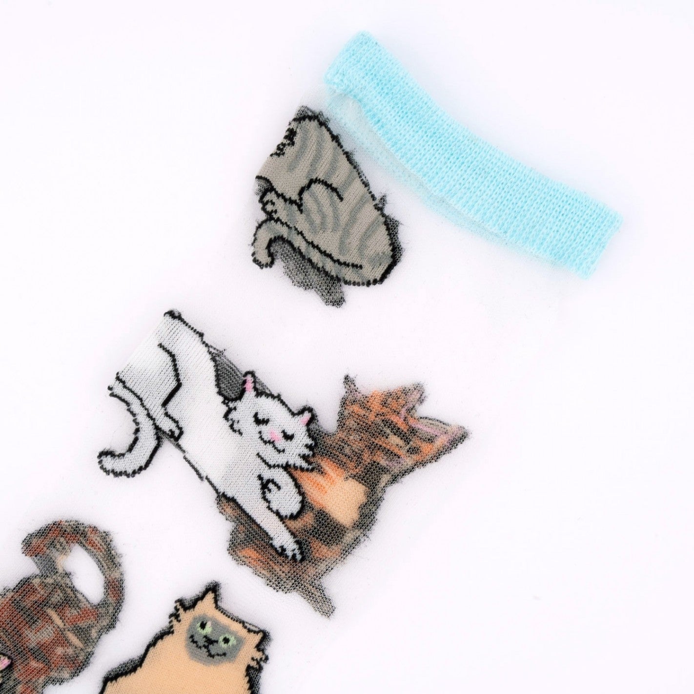 Chaussettes Transparentes Chat