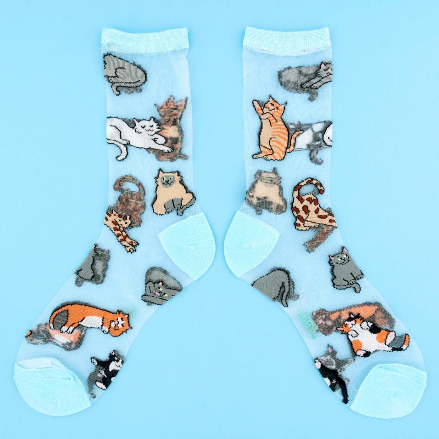 Chaussettes Transparentes Chat