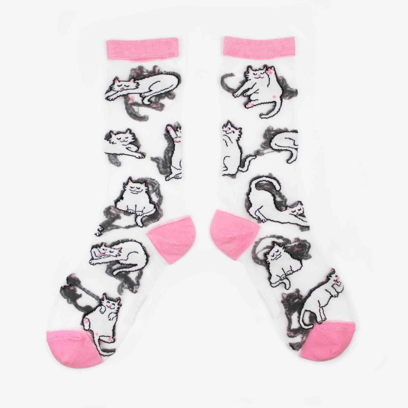 Chaussettes Transparentes Chat