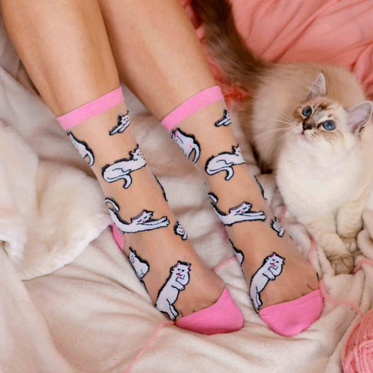 Chaussettes Transparentes Chat