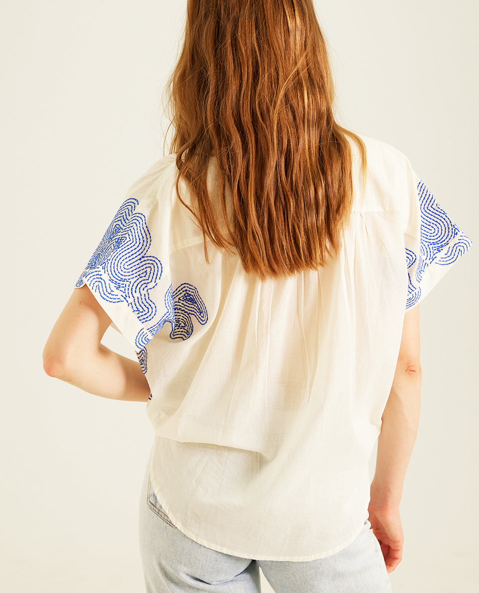 Top Maya Blueflower