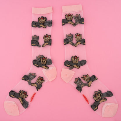 Chaussettes transparentes Yorkshire Coucou Suzette vue produit