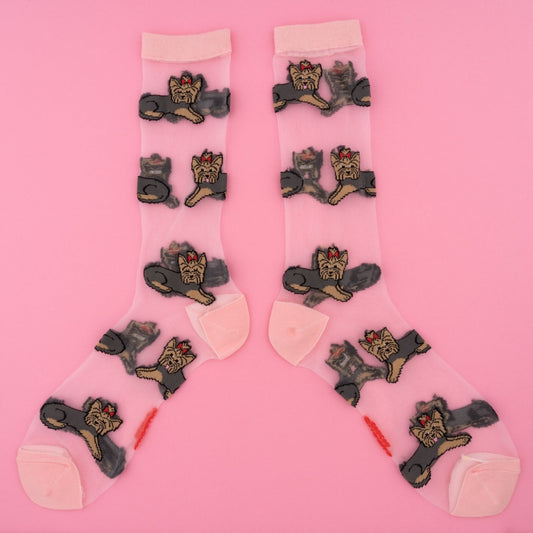Chaussettes transparentes Yorkshire Coucou Suzette vue produit