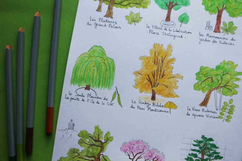 Affiche A5 Arbres Parisiens