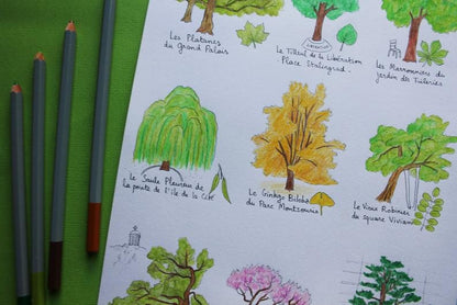 Affiche A5 Arbres Parisiens