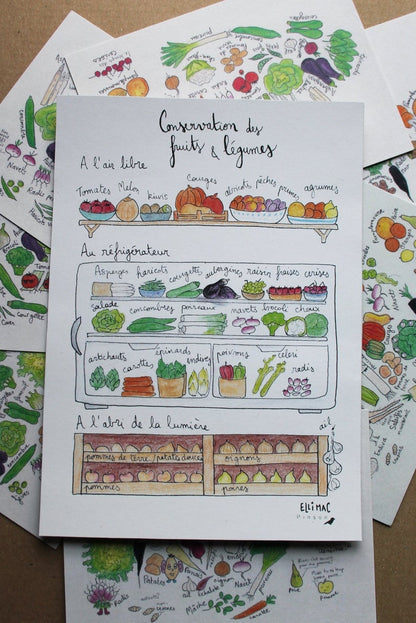 Affiche A5 Conservation Fruits & Légumes