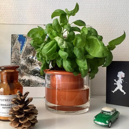Pot en terre cuite intelligent – Wet Pot
