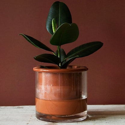 Pot en terre cuite intelligent – Wet Pot