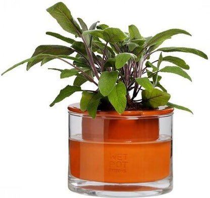 Pot en terre cuite intelligent – Wet Pot