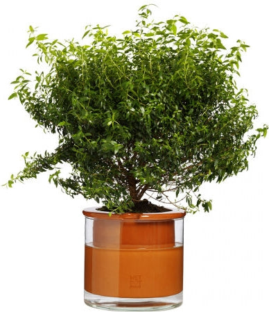 Pot en terre cuite intelligent – Wet Pot