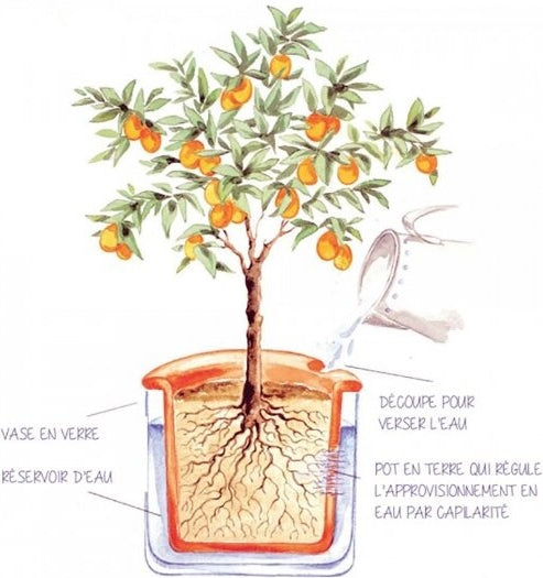 Pot en terre cuite intelligent