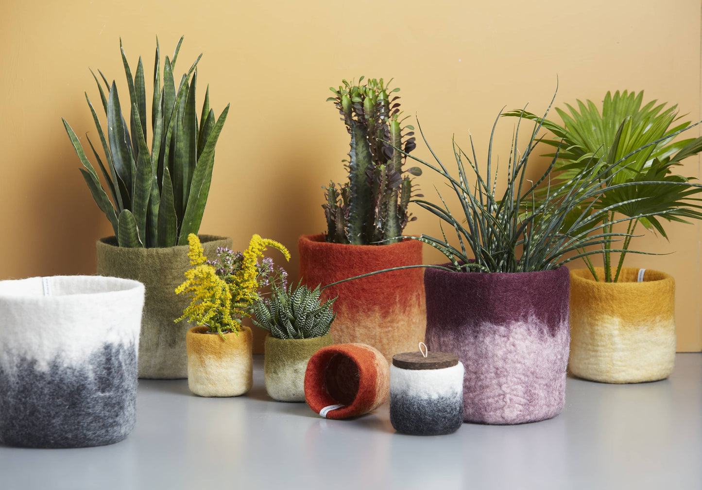 Cache pot L en laine bouillie