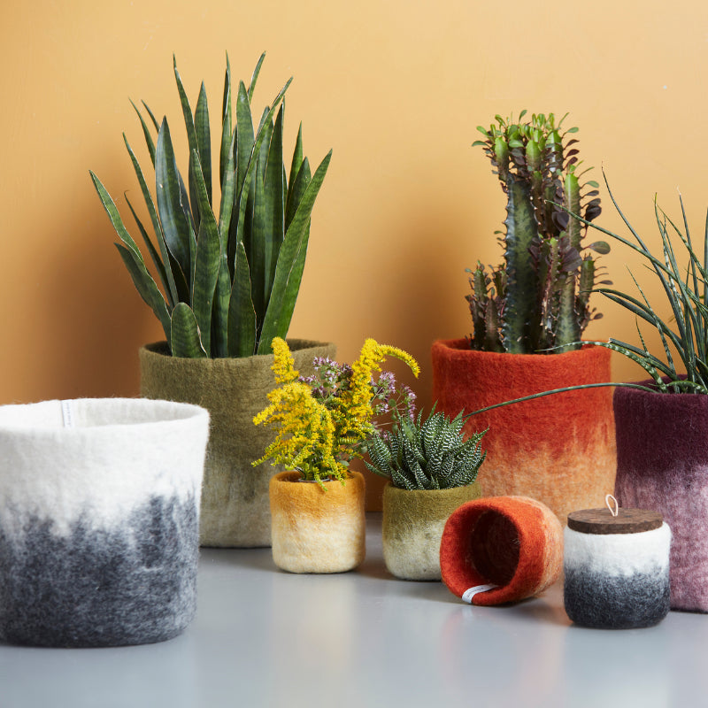 Cache pot S en laine bouillie