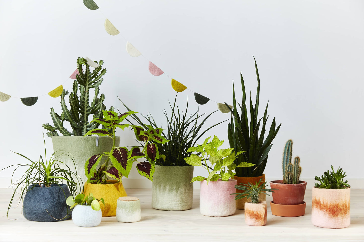 Cache pot L en laine bouillie