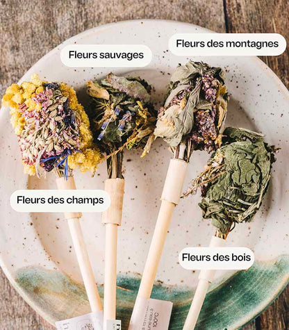 Coffret 4 Bouquets à Infuser Bio – Horae