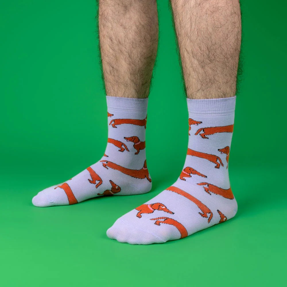 Chaussettes Teckel
