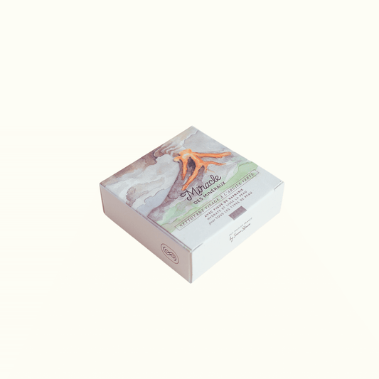 Nettoyant visage Miracle des Minéraux - Savon Stories - photo officielle 1